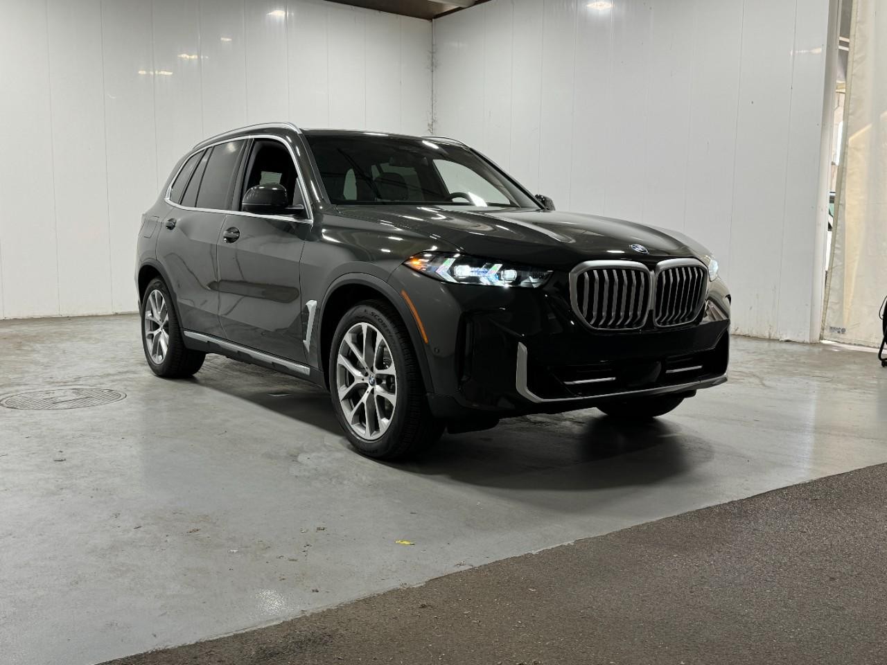 BMW X5 Vehicle Full-screen Gallery Image 6