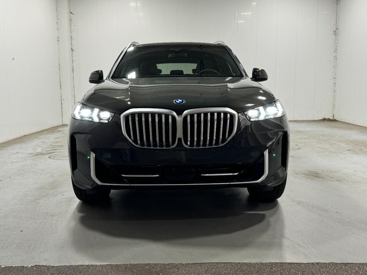 BMW X5 Vehicle Full-screen Gallery Image 7