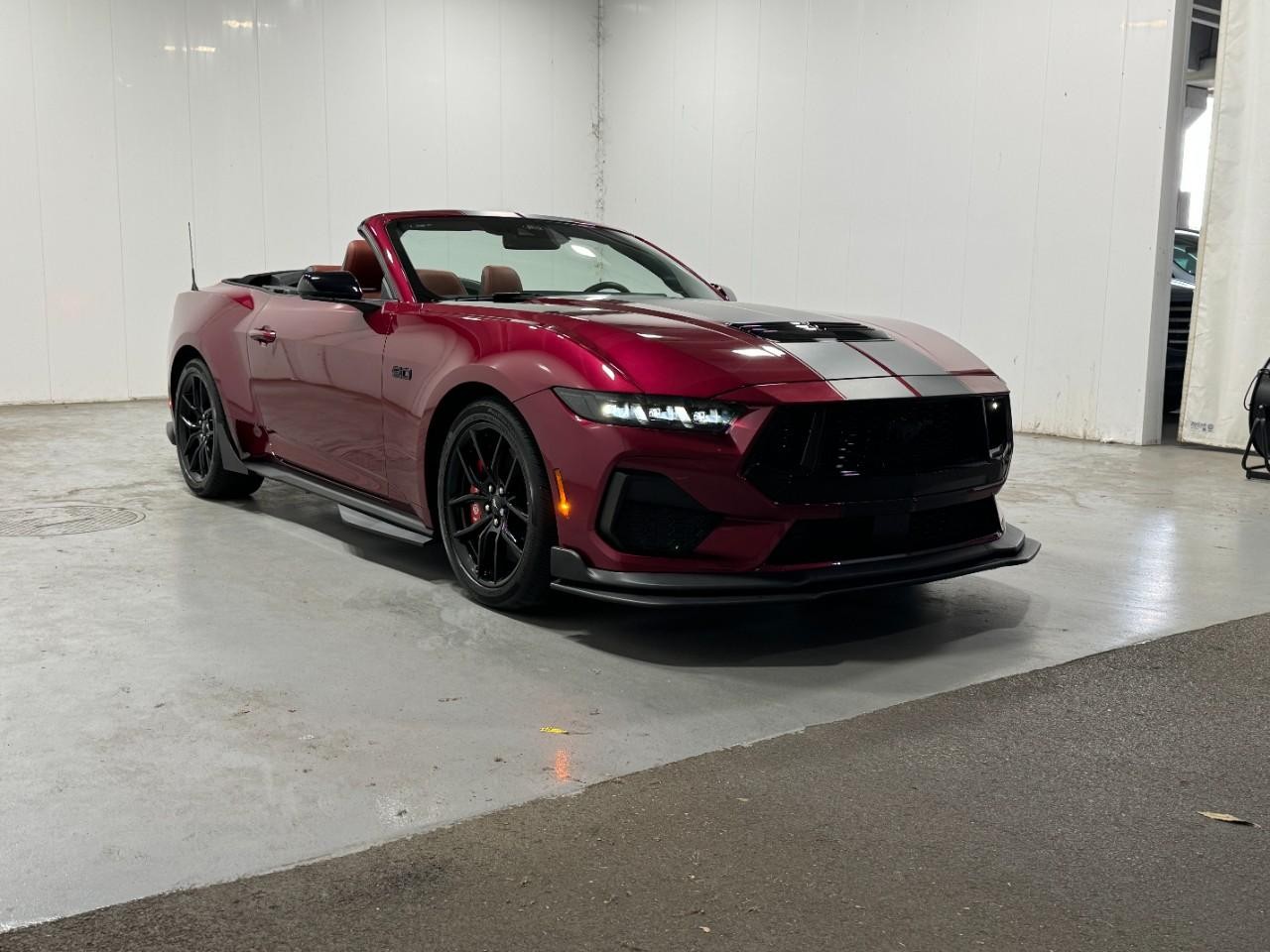 Ford Mustang Vehicle Full-screen Gallery Image 6