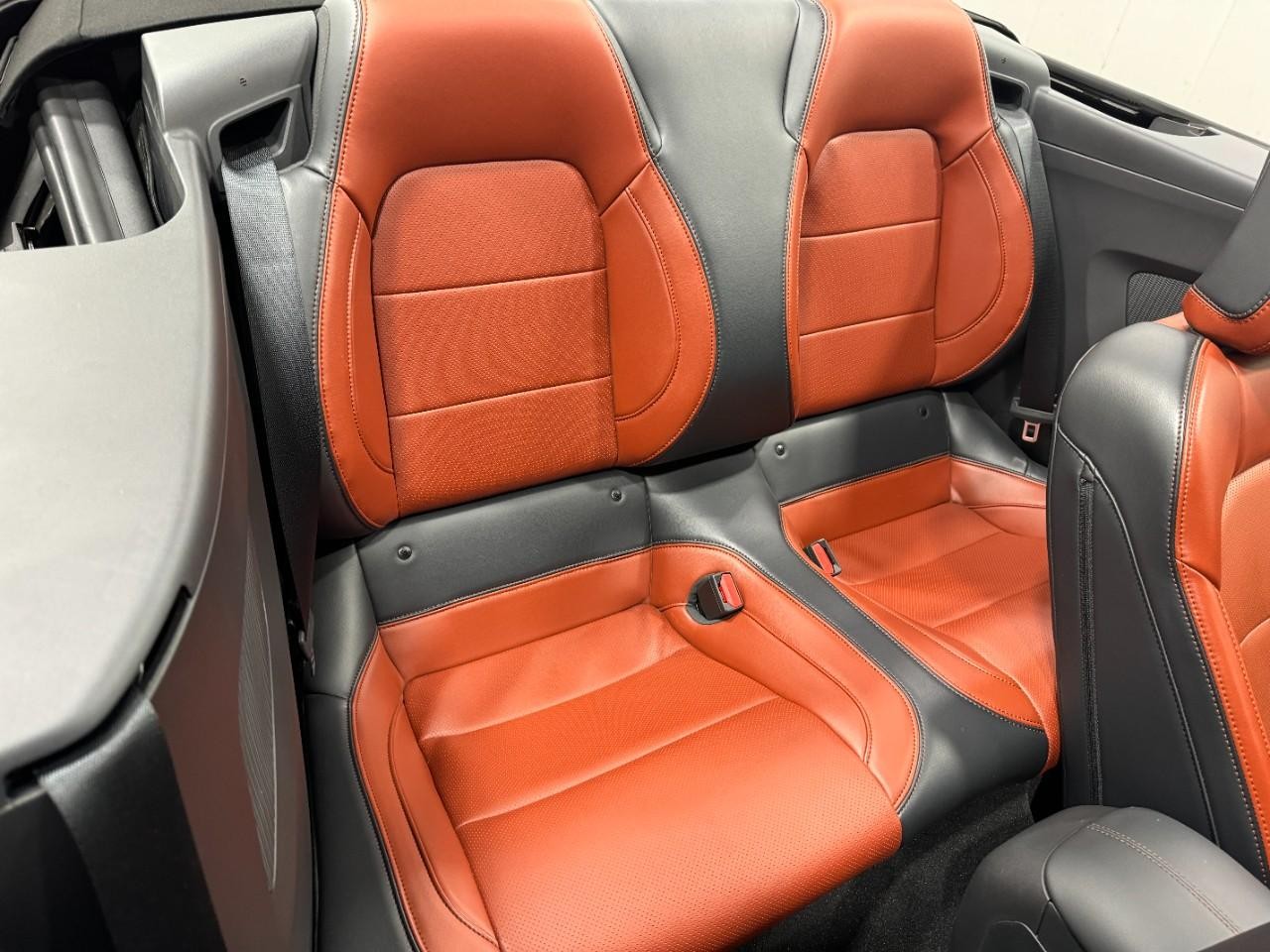 Ford Mustang Vehicle Full-screen Gallery Image 10