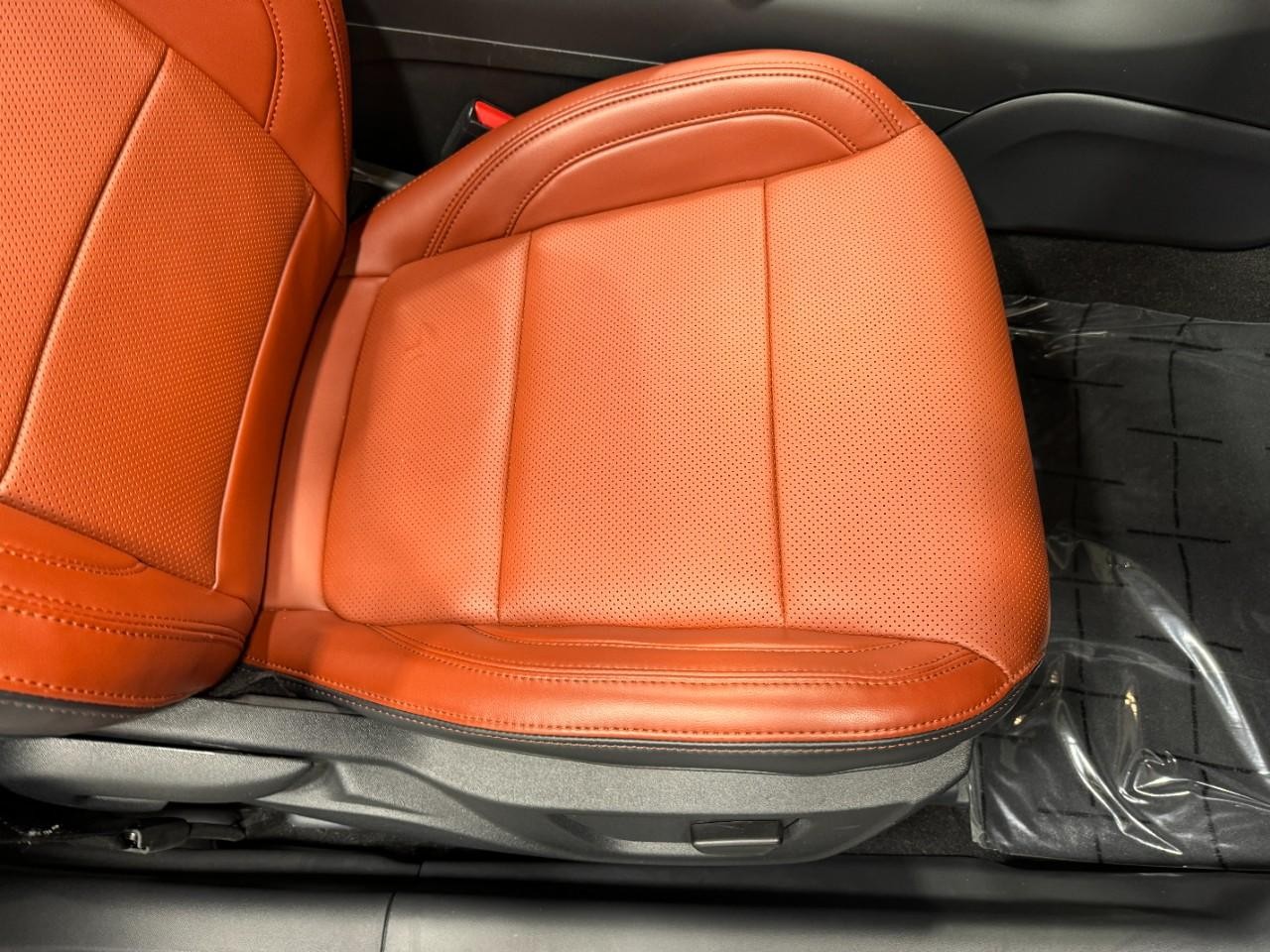 Ford Mustang Vehicle Full-screen Gallery Image 18