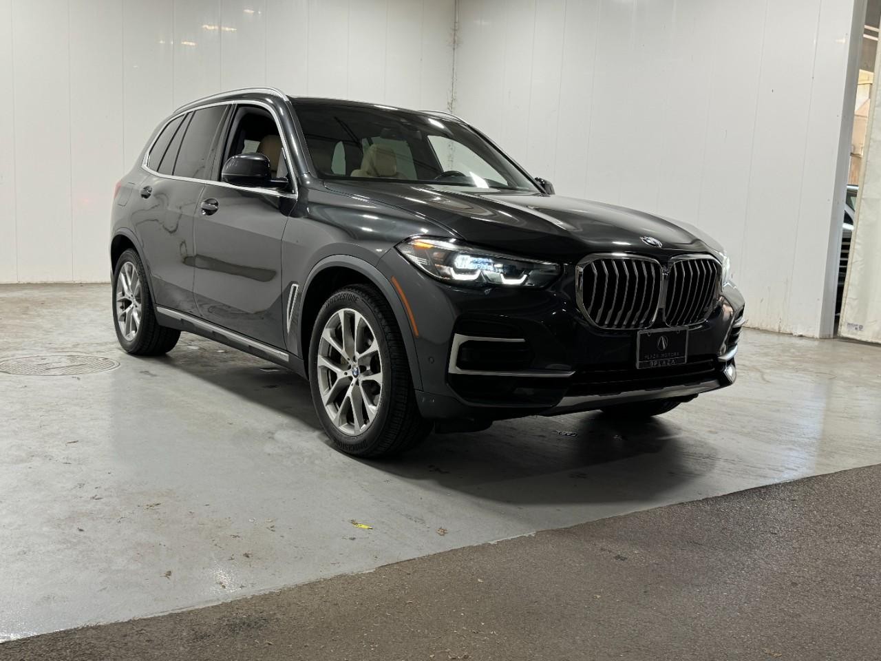 BMW X5 Vehicle Full-screen Gallery Image 6
