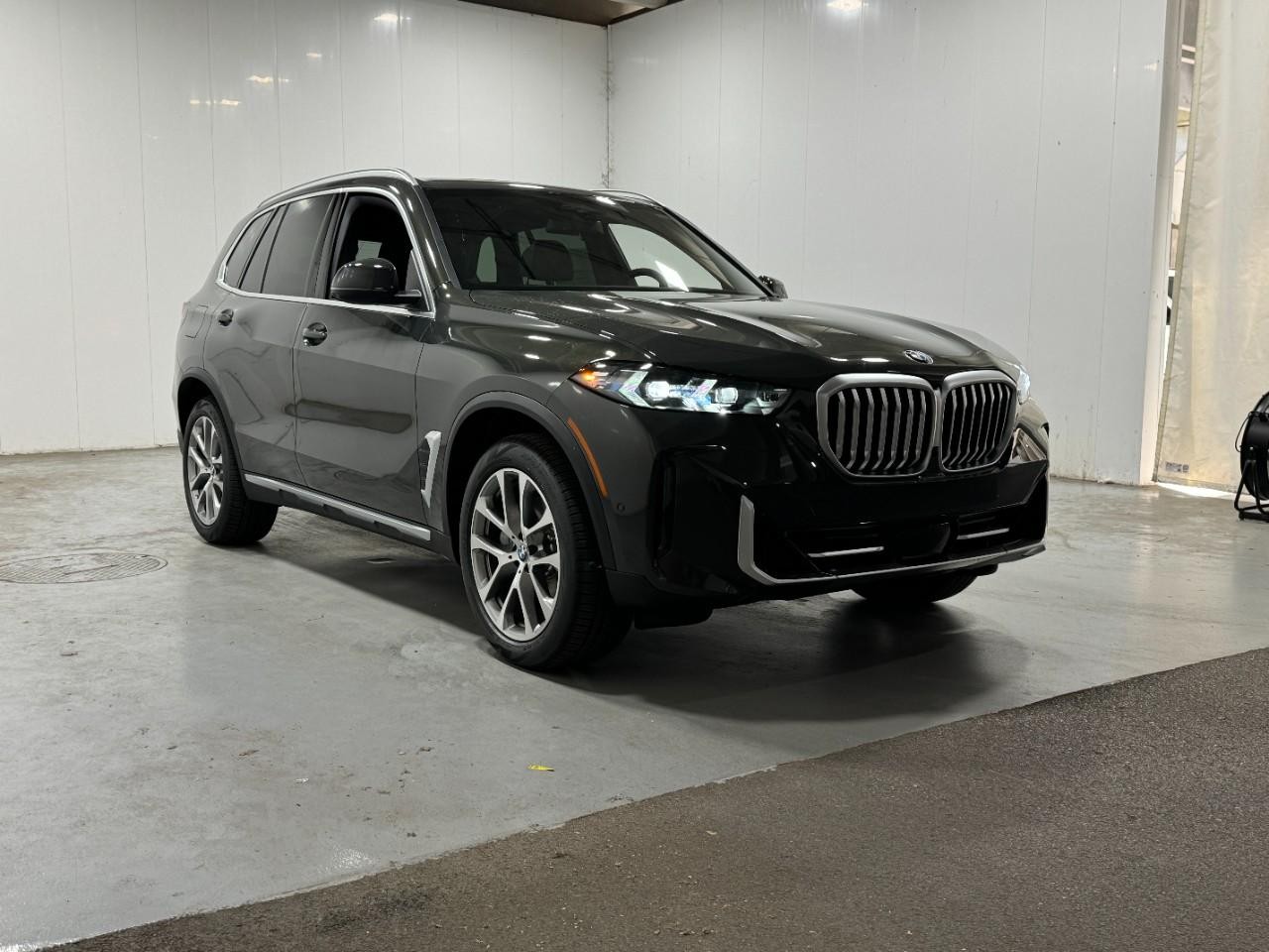BMW X5 Vehicle Full-screen Gallery Image 6