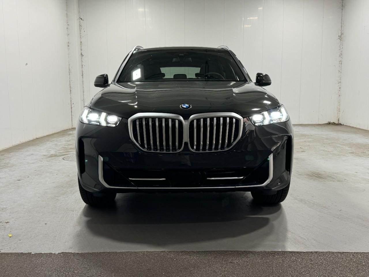 BMW X5 Vehicle Full-screen Gallery Image 7