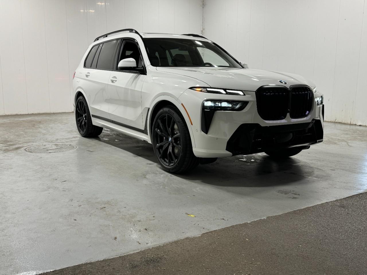 BMW X7 Vehicle Full-screen Gallery Image 6