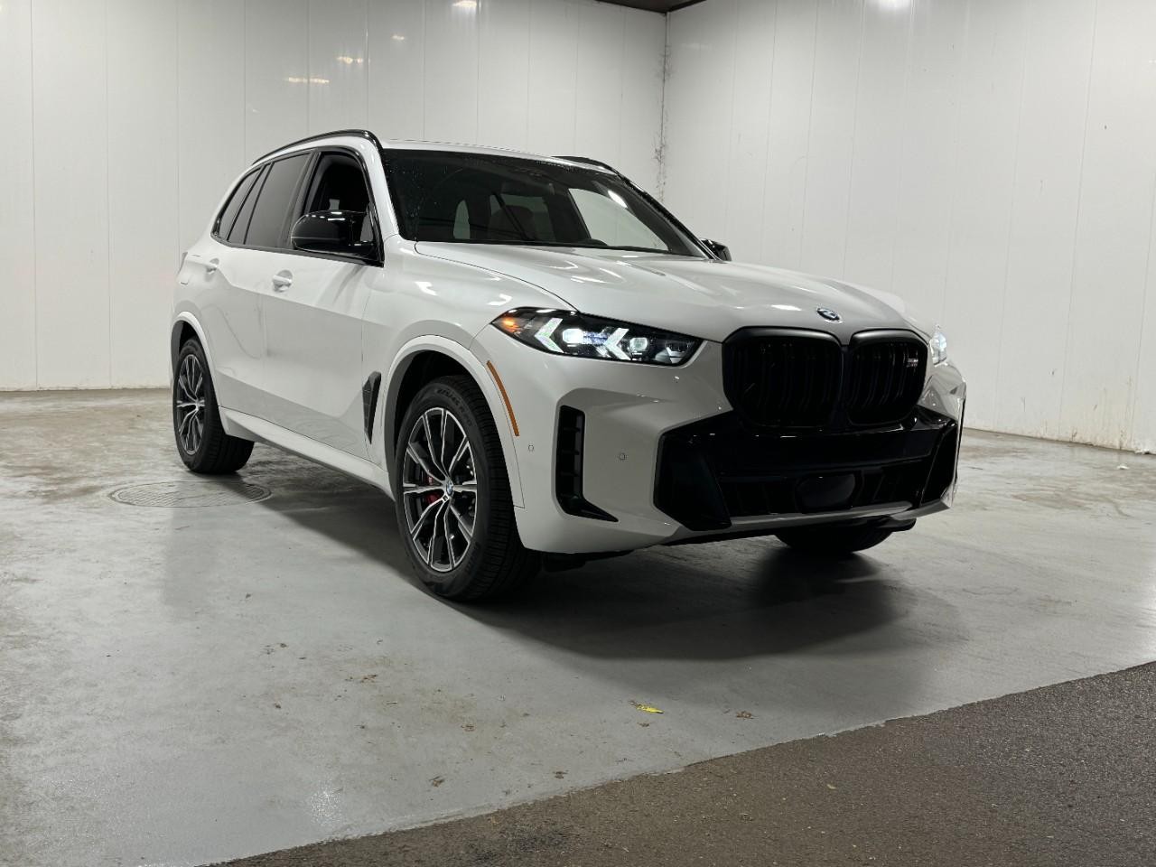 BMW X5 Vehicle Full-screen Gallery Image 6