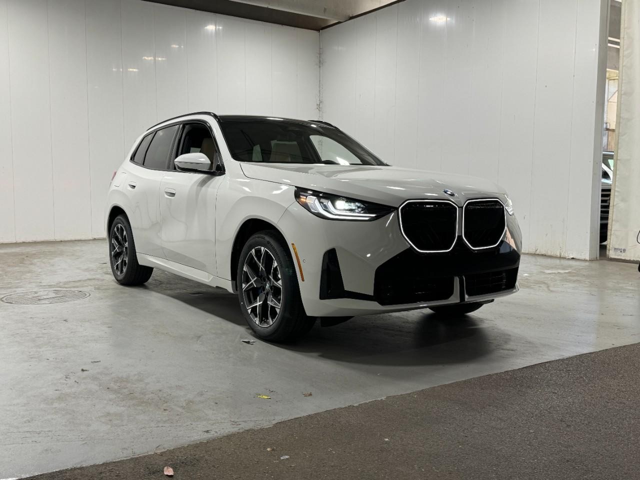 BMW X3 Vehicle Full-screen Gallery Image 6