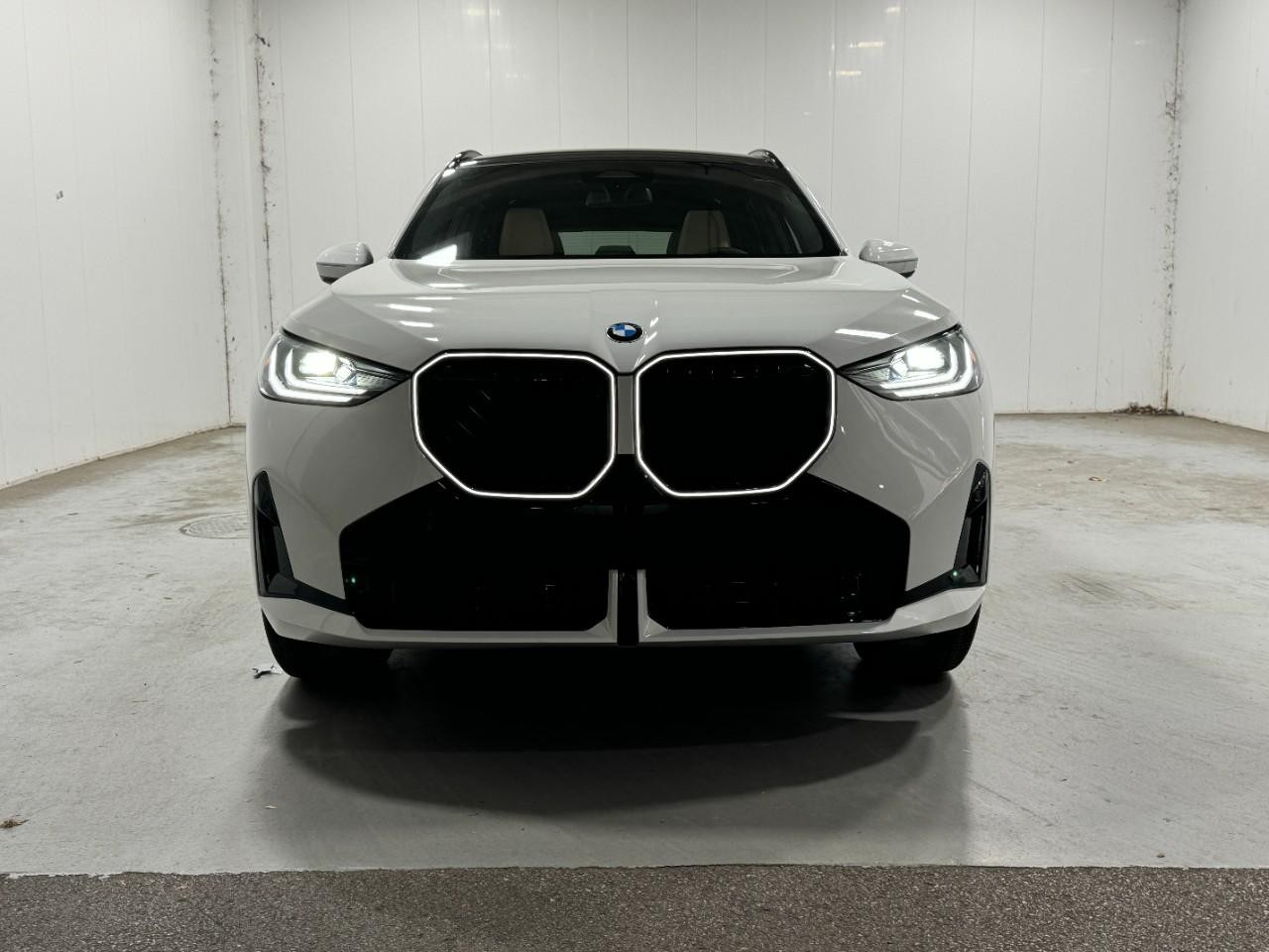 BMW X3 Vehicle Full-screen Gallery Image 7