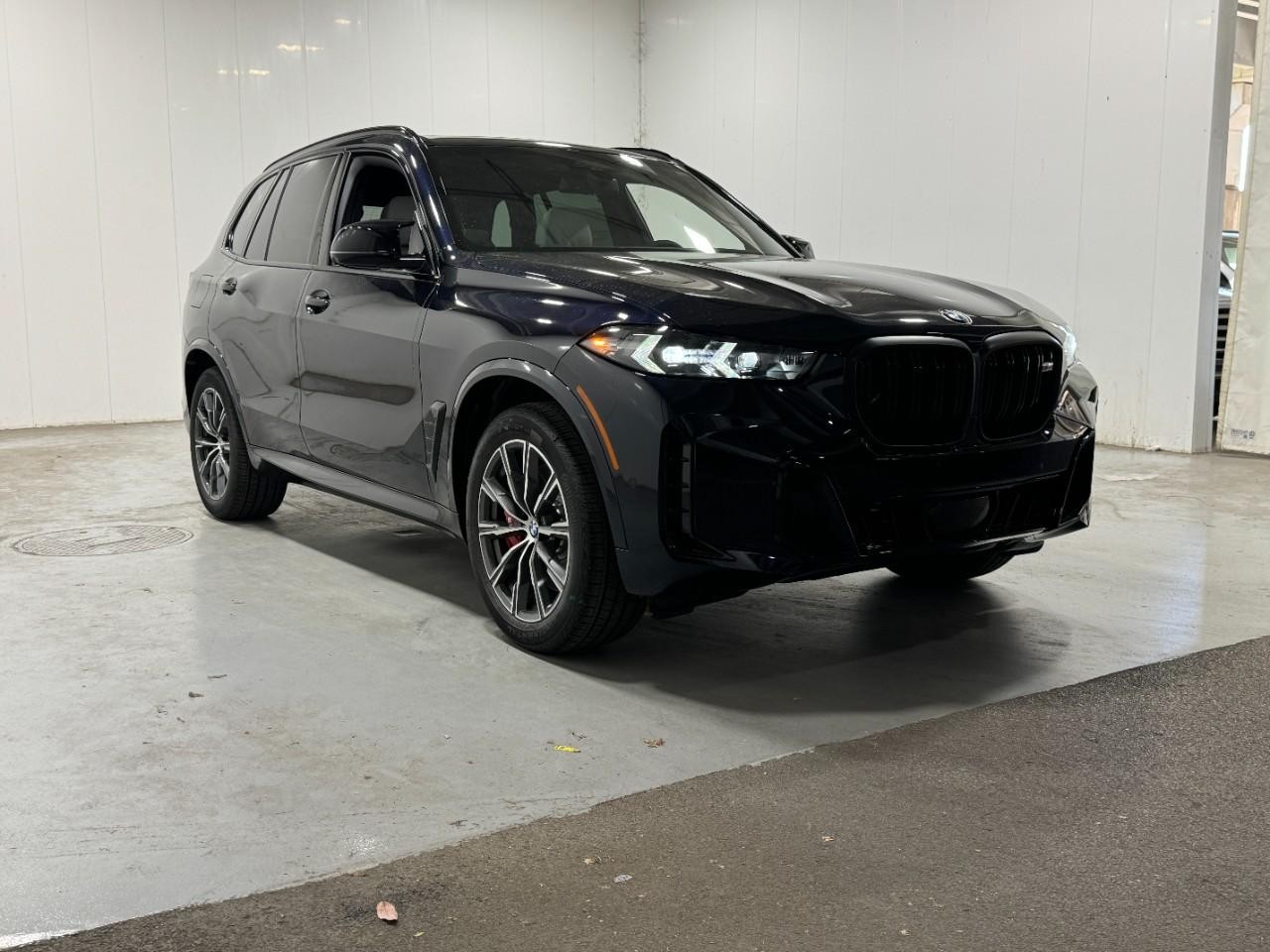 BMW X5 Vehicle Full-screen Gallery Image 6