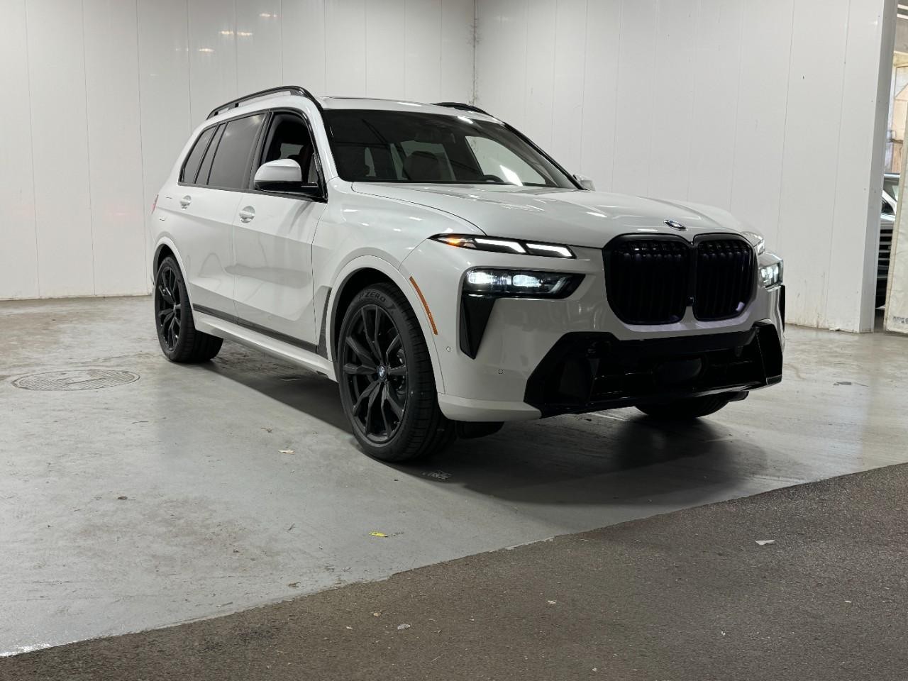 BMW X7 Vehicle Full-screen Gallery Image 6