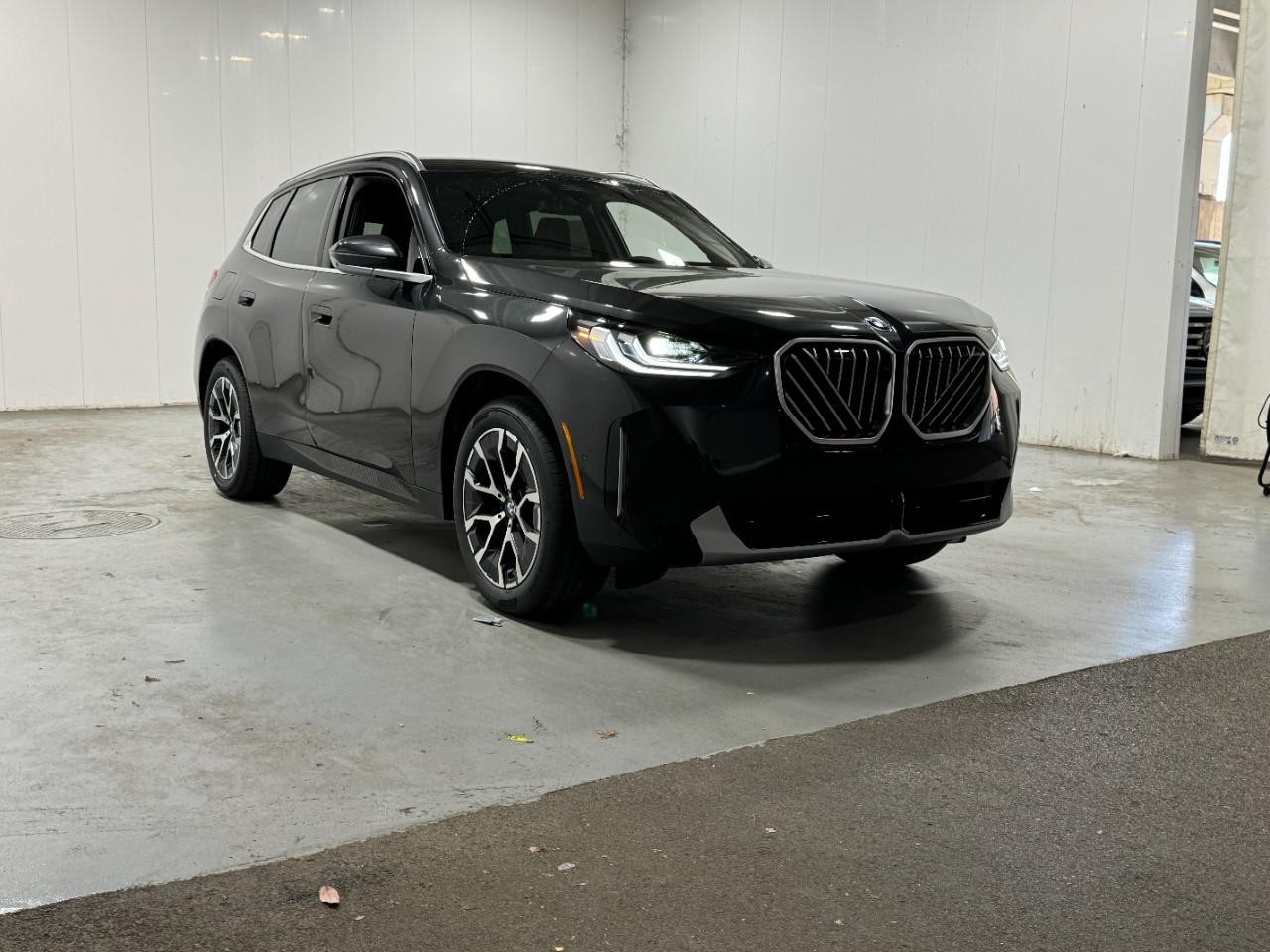 BMW X3 Vehicle Full-screen Gallery Image 6