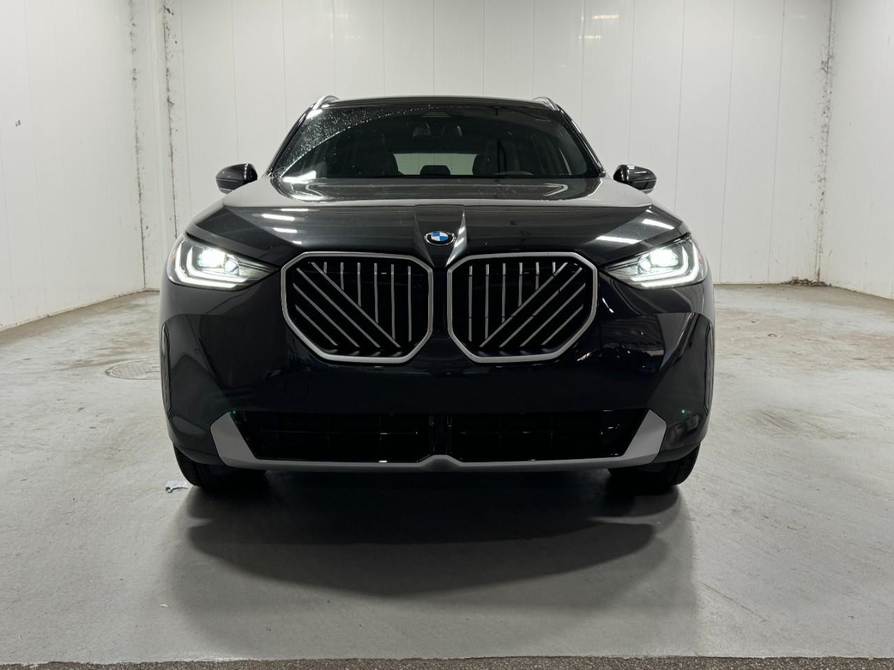 BMW X3 Vehicle Full-screen Gallery Image 7