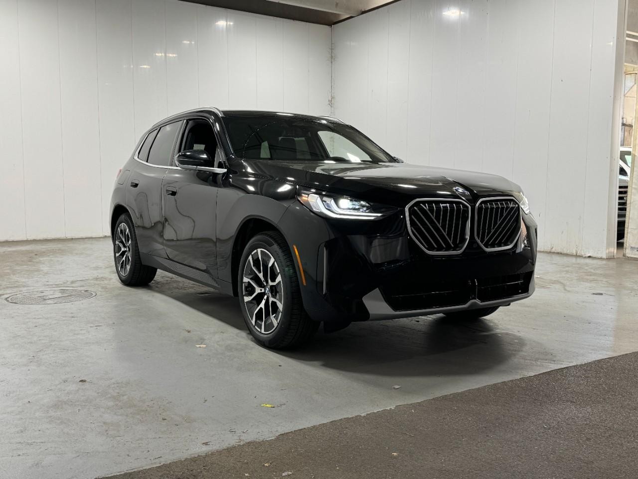 BMW X3 Vehicle Full-screen Gallery Image 6