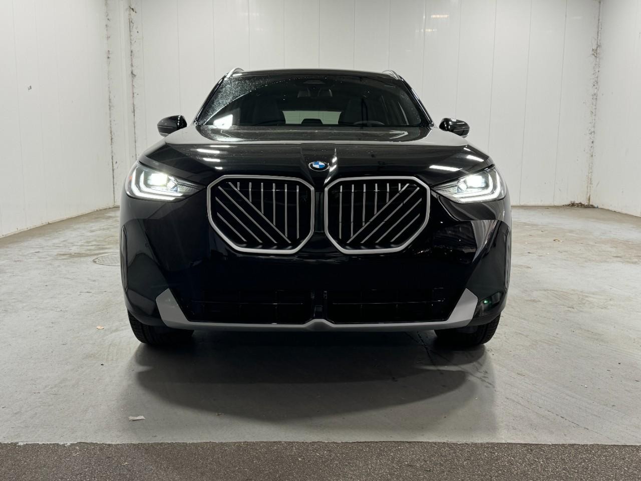 BMW X3 Vehicle Full-screen Gallery Image 7