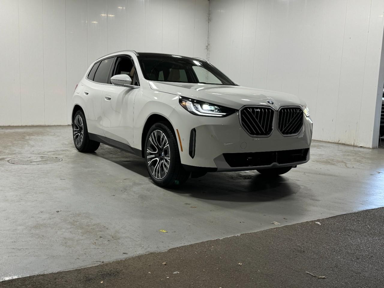 BMW X3 Vehicle Full-screen Gallery Image 6