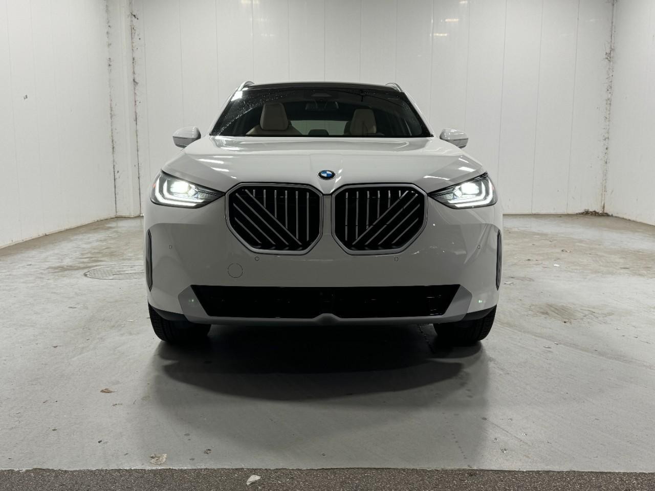 BMW X3 Vehicle Full-screen Gallery Image 7