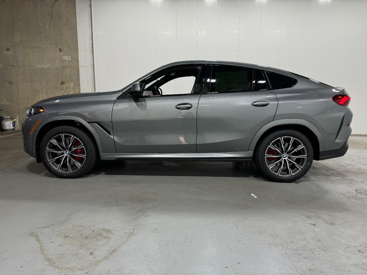 BMW X6 Vehicle Full-screen Gallery Image 2