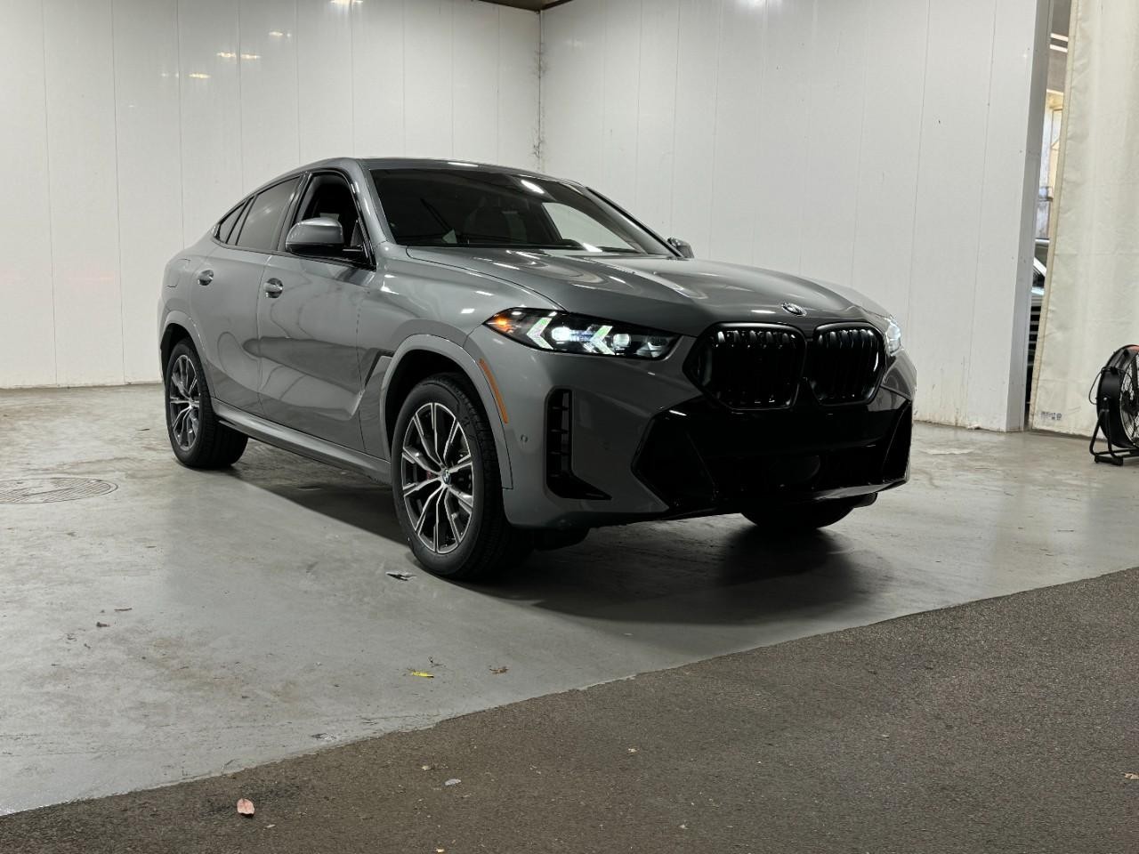 BMW X6 Vehicle Full-screen Gallery Image 6