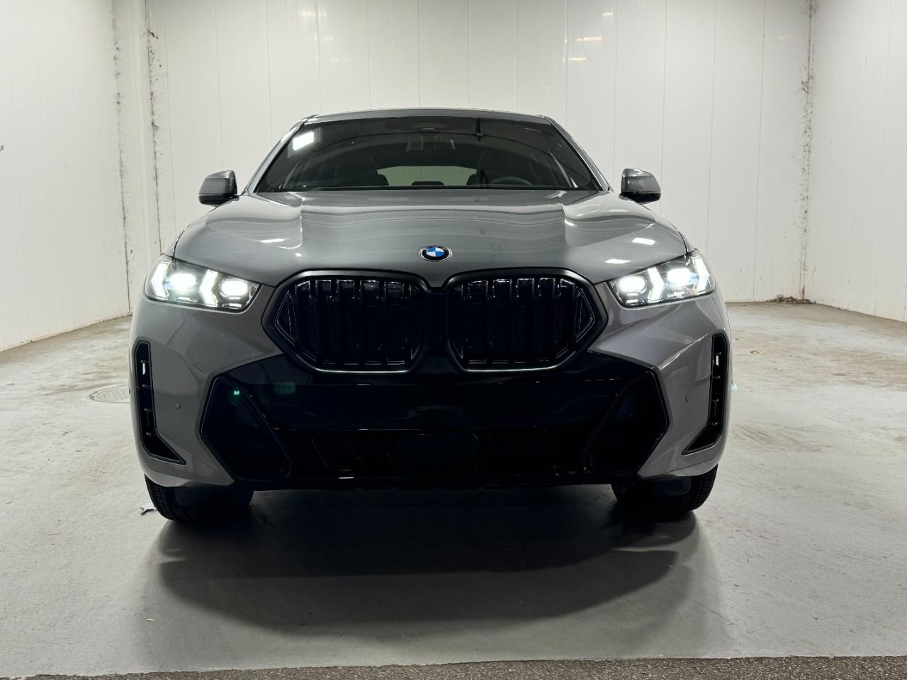 BMW X6 Vehicle Full-screen Gallery Image 7