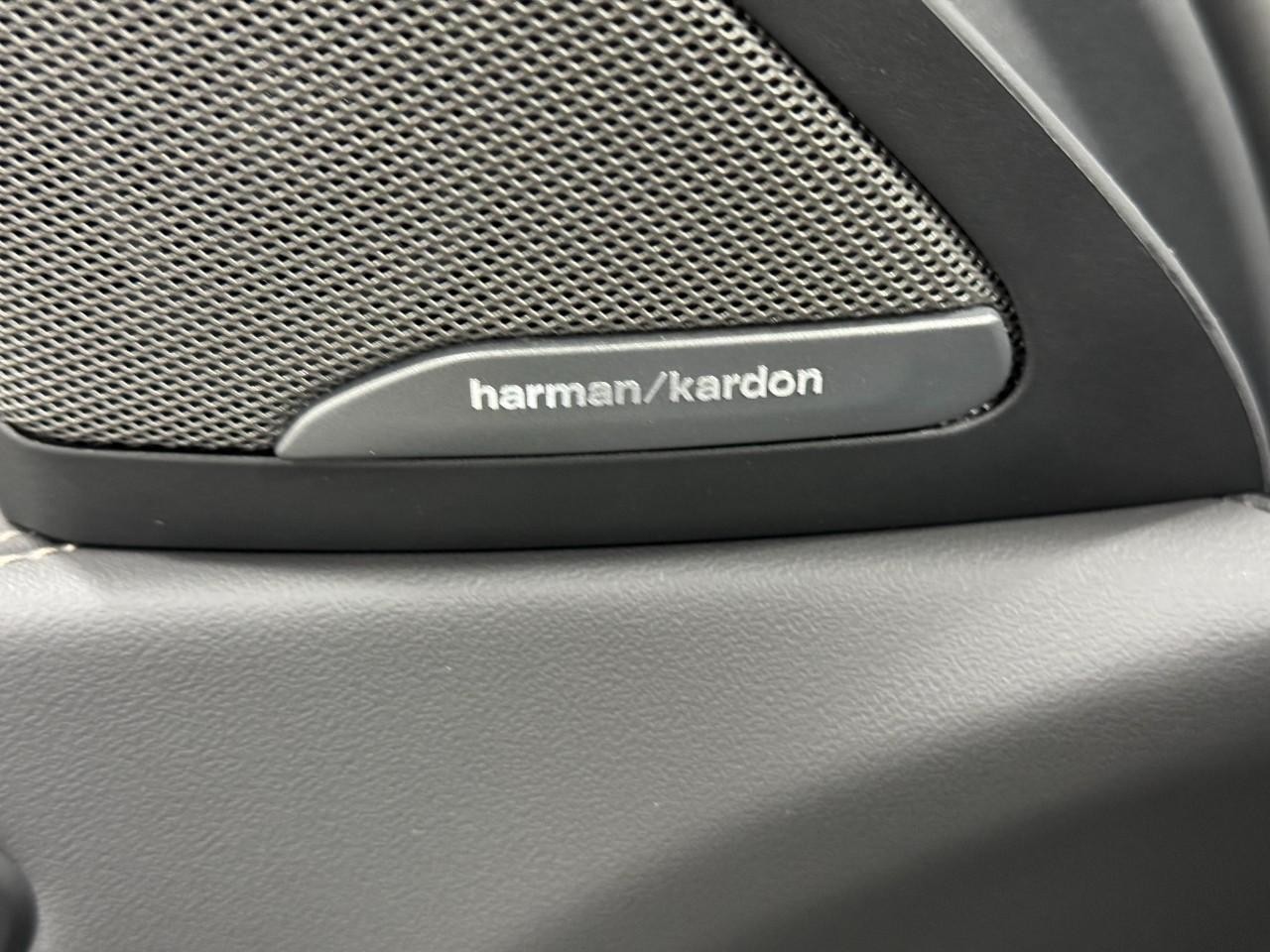 BMW X6 Vehicle Full-screen Gallery Image 23