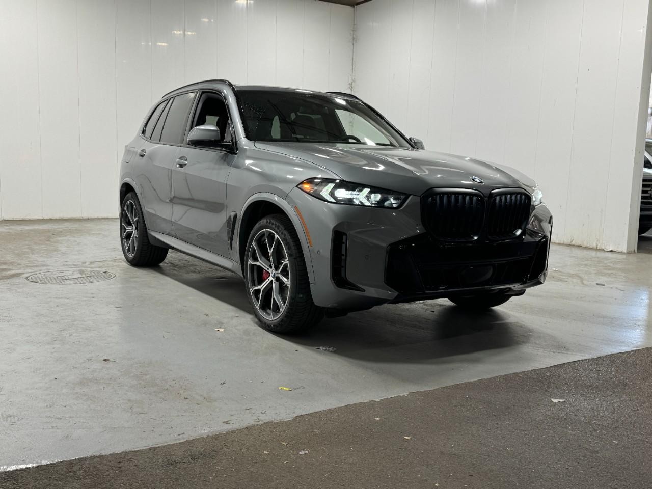 BMW X5 Vehicle Full-screen Gallery Image 6