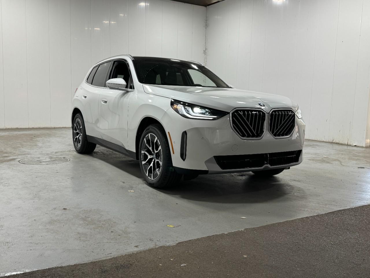 BMW X3 Vehicle Full-screen Gallery Image 6