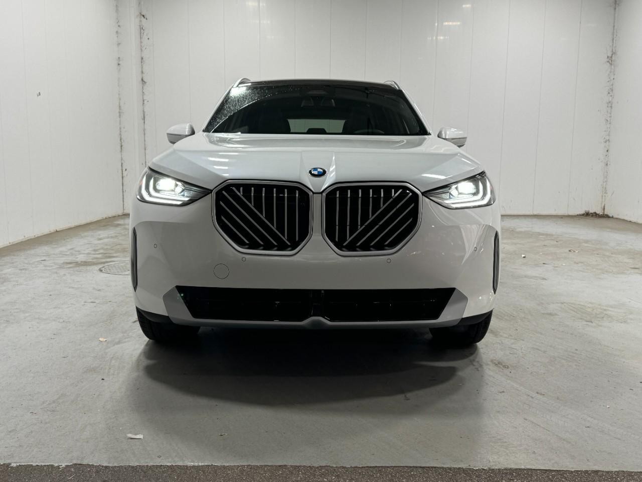 BMW X3 Vehicle Full-screen Gallery Image 7