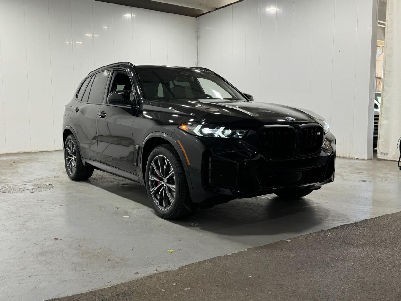 BMW X5 Vehicle Full-screen Gallery Image 6