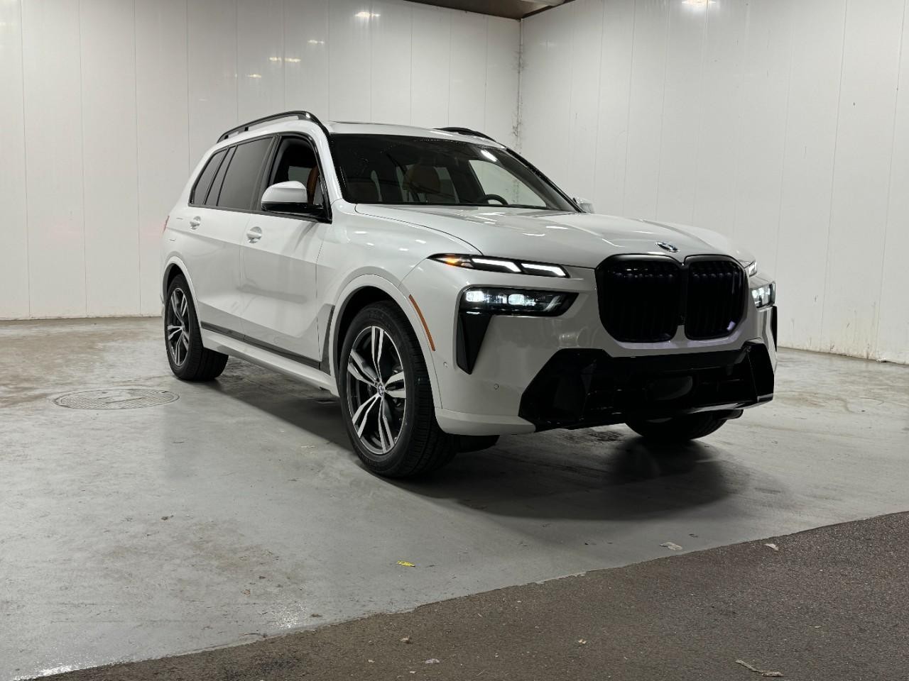 BMW X7 Vehicle Full-screen Gallery Image 6