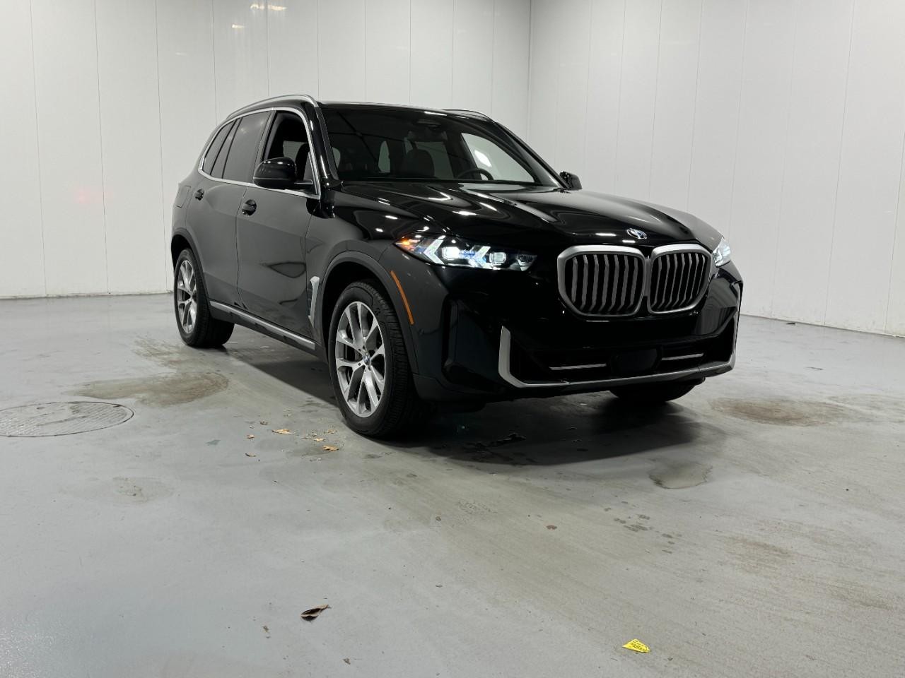 BMW X5 Vehicle Full-screen Gallery Image 6