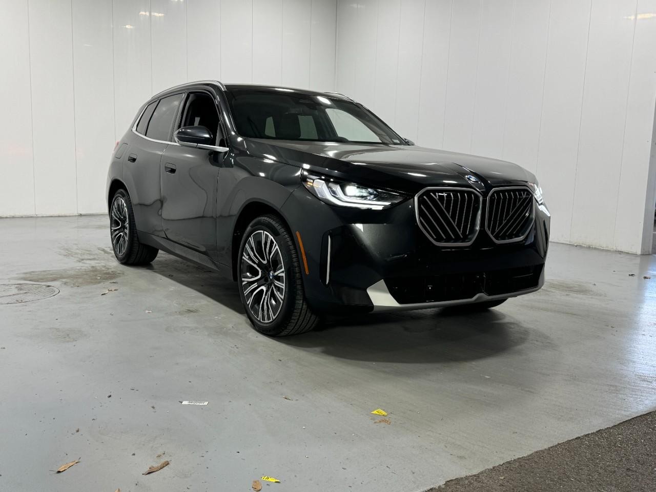 BMW X3 Vehicle Full-screen Gallery Image 6