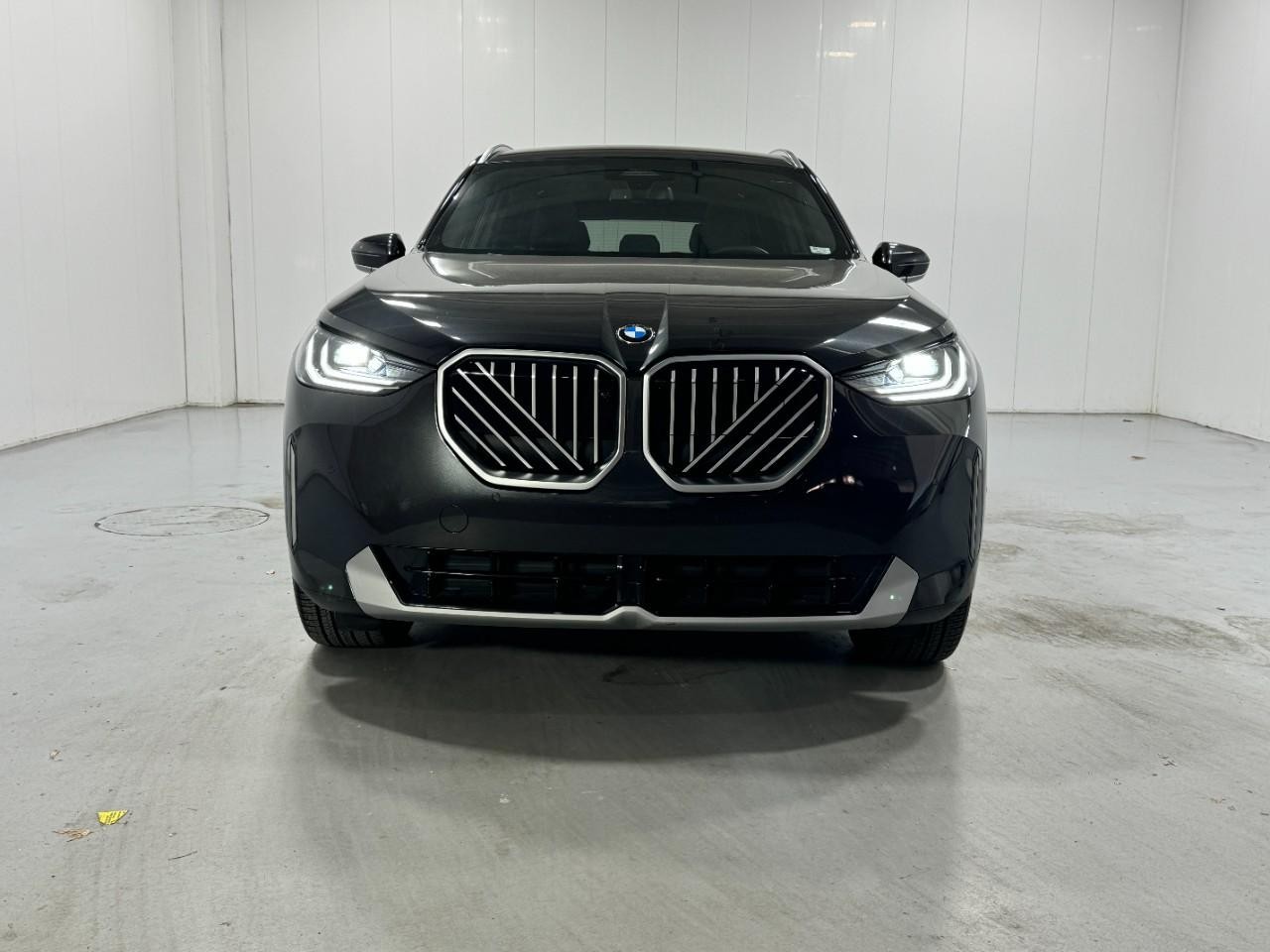 BMW X3 Vehicle Full-screen Gallery Image 7