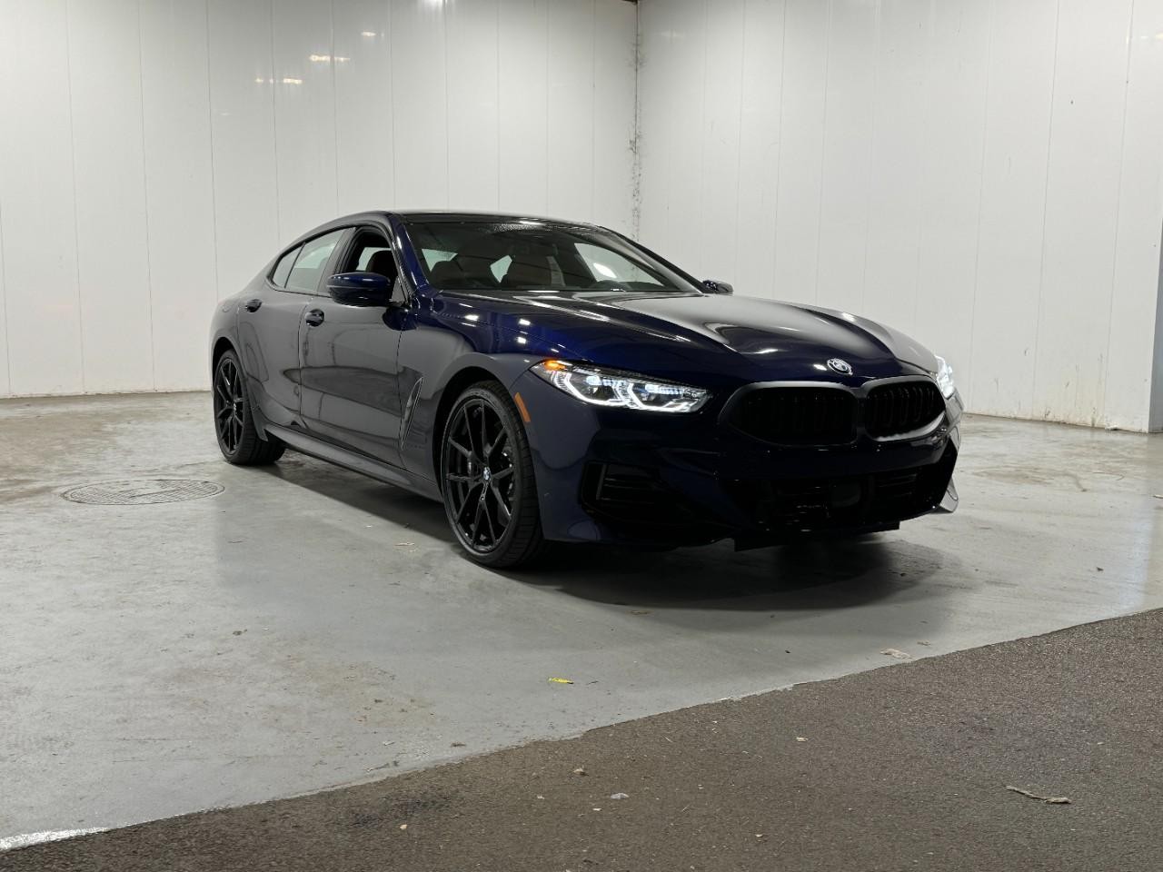 BMW 8 Series Vehicle Full-screen Gallery Image 6