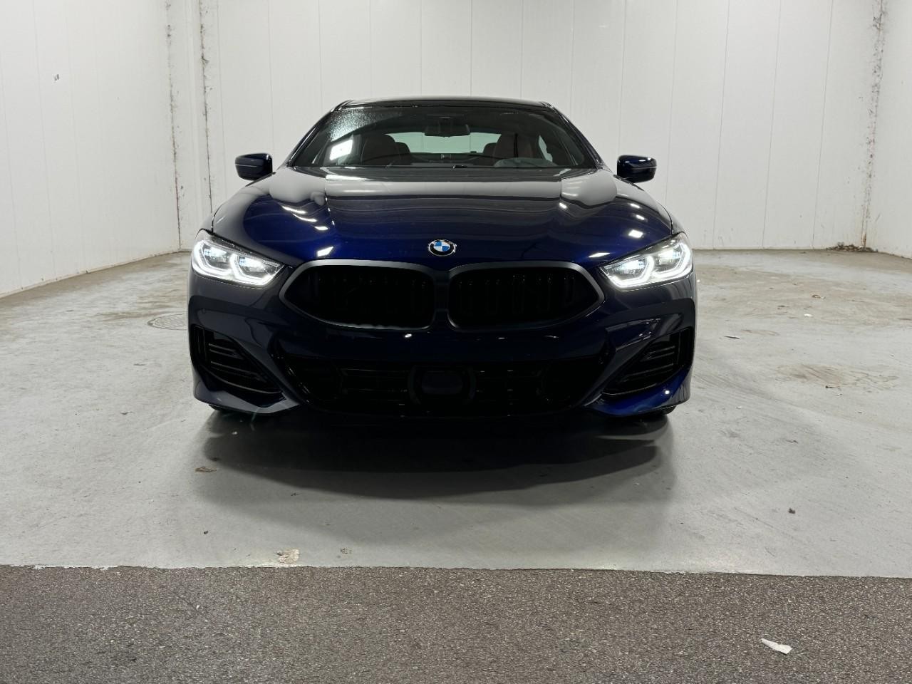 BMW 8 Series Vehicle Full-screen Gallery Image 7