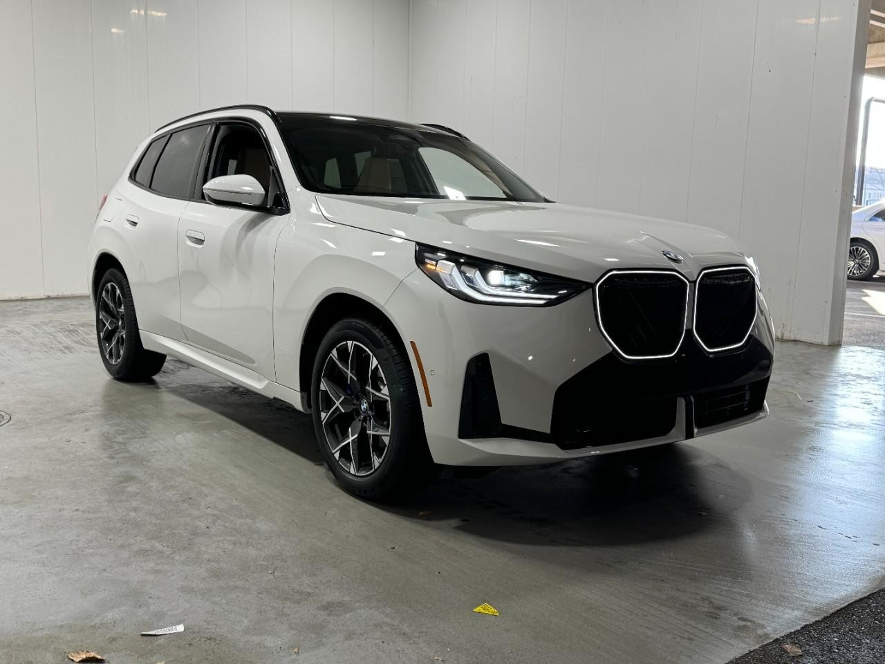 BMW X3 Vehicle Full-screen Gallery Image 6