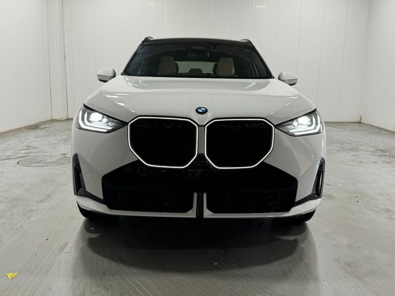 BMW X3 Vehicle Full-screen Gallery Image 7
