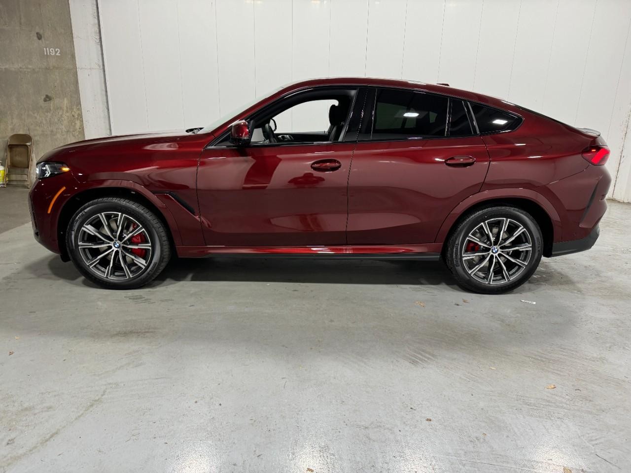 BMW X6 Vehicle Full-screen Gallery Image 2