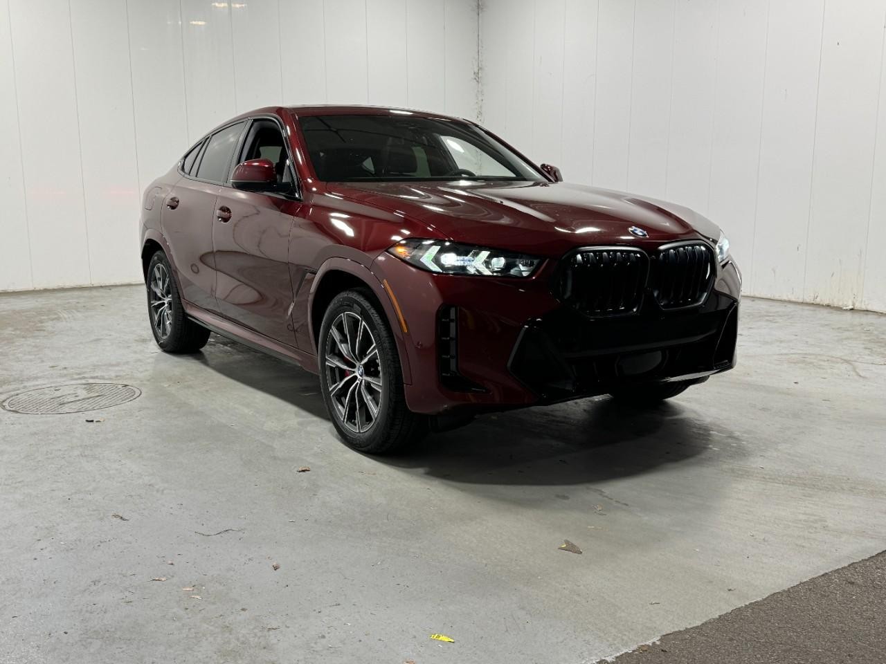 BMW X6 Vehicle Full-screen Gallery Image 6