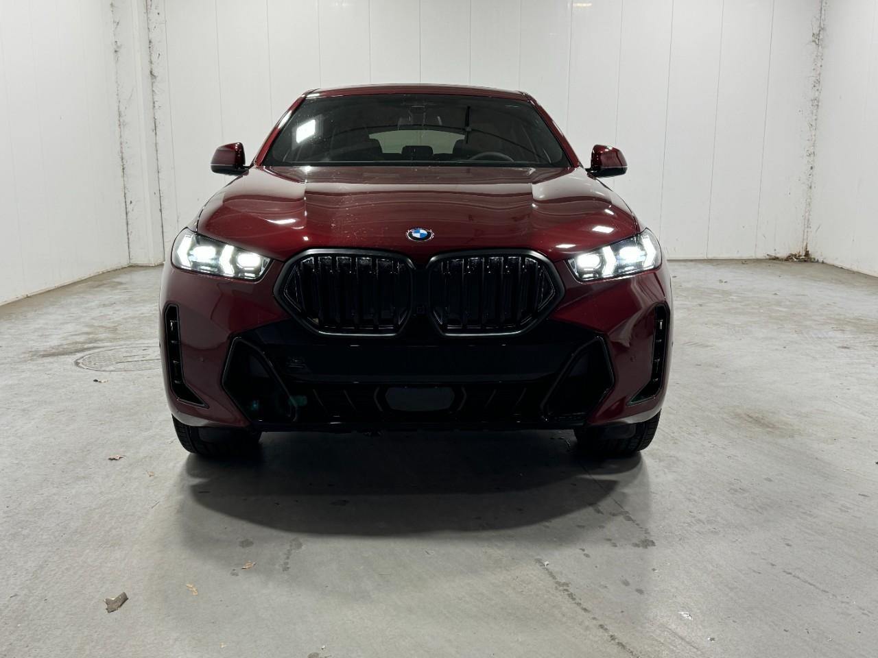 BMW X6 Vehicle Full-screen Gallery Image 7