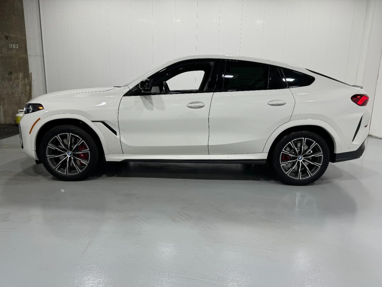 BMW X6 Vehicle Full-screen Gallery Image 2