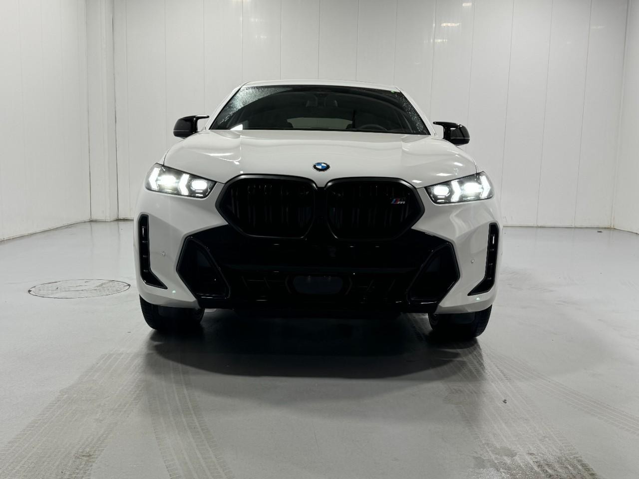 BMW X6 Vehicle Full-screen Gallery Image 7