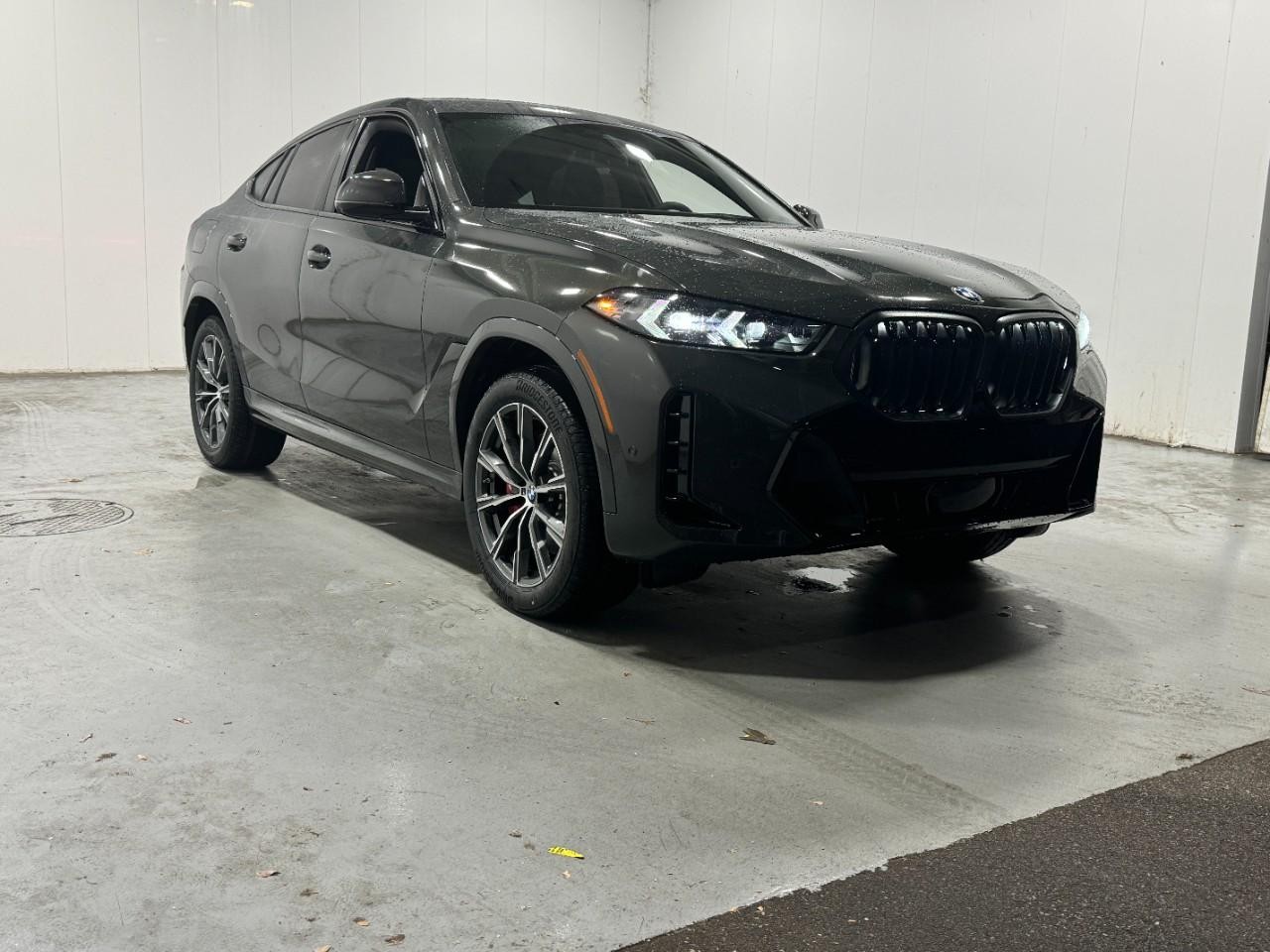 BMW X6 Vehicle Full-screen Gallery Image 6