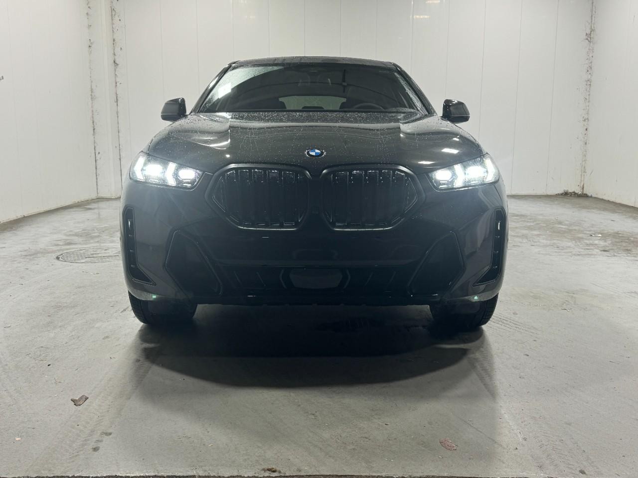 BMW X6 Vehicle Full-screen Gallery Image 7