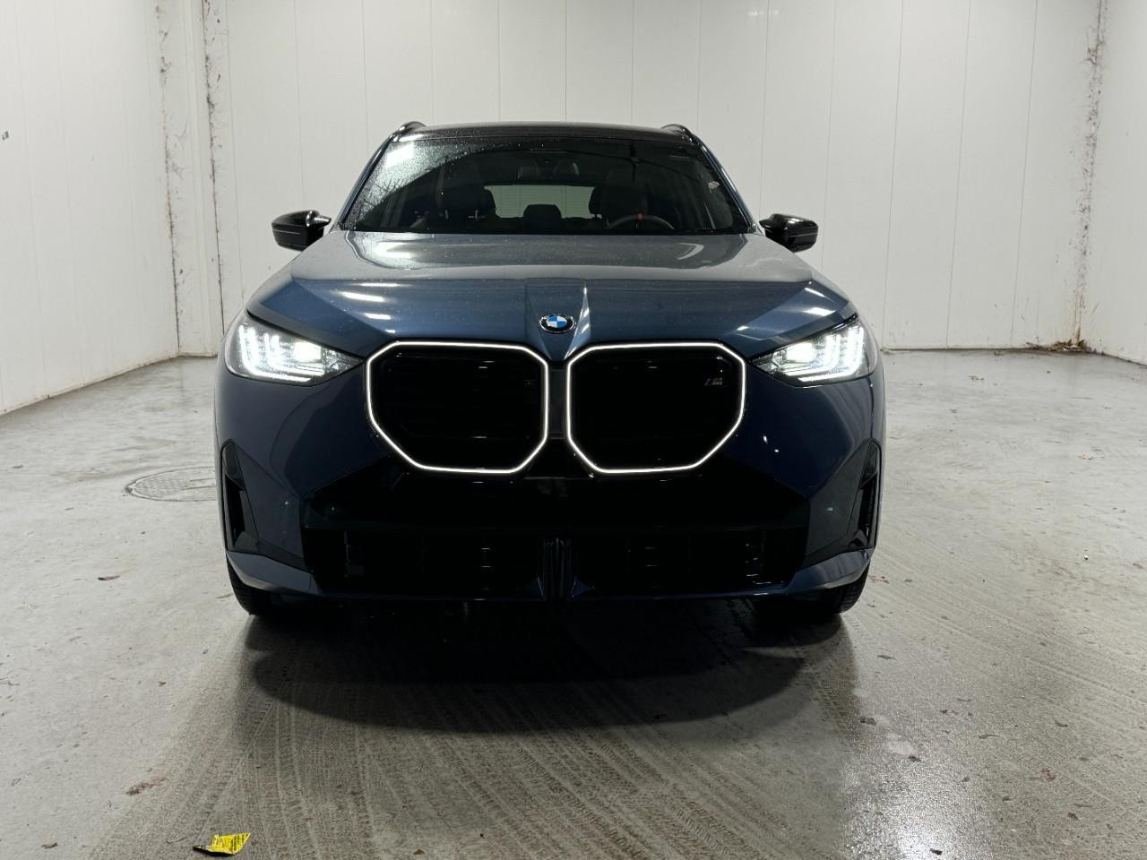 BMW X3 Vehicle Full-screen Gallery Image 7