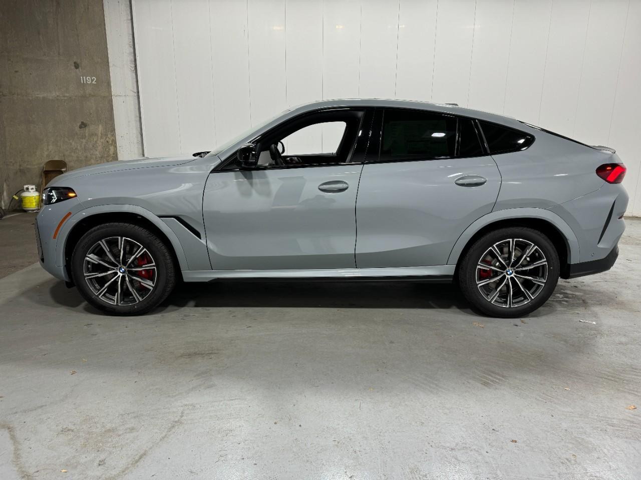 BMW X6 Vehicle Full-screen Gallery Image 2