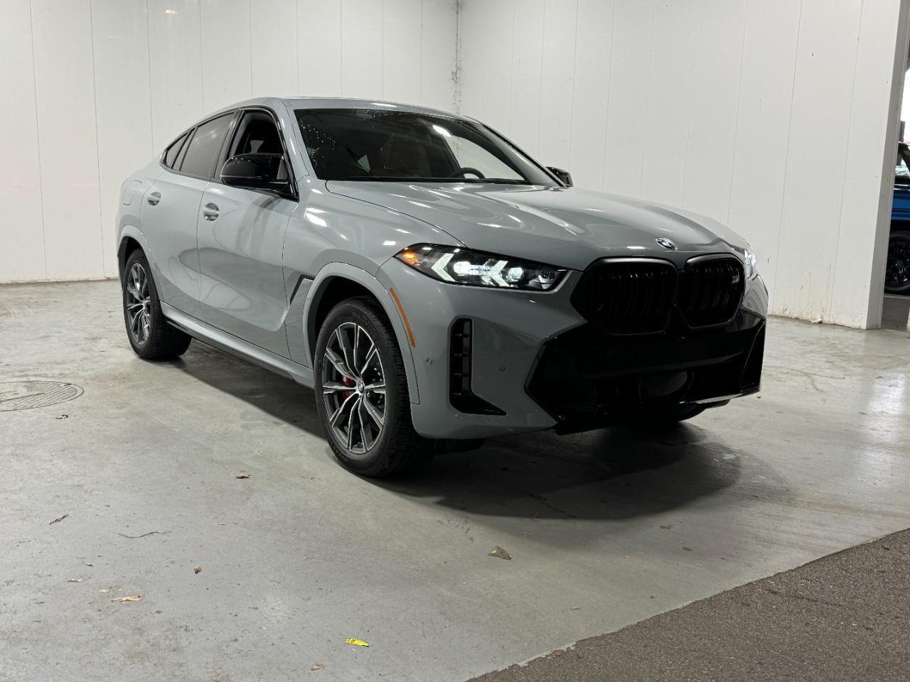 BMW X6 Vehicle Full-screen Gallery Image 6