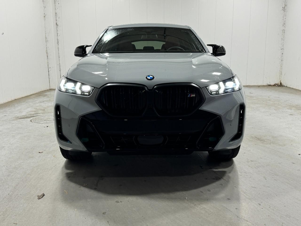BMW X6 Vehicle Full-screen Gallery Image 7