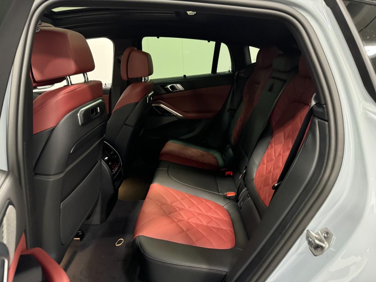 BMW X6 Vehicle Full-screen Gallery Image 8