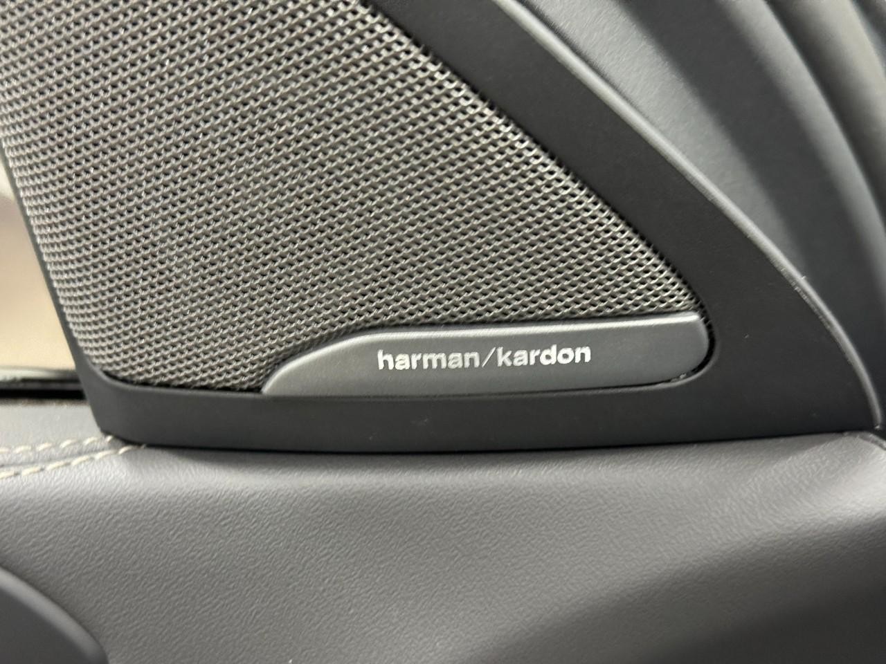 BMW X6 Vehicle Full-screen Gallery Image 23