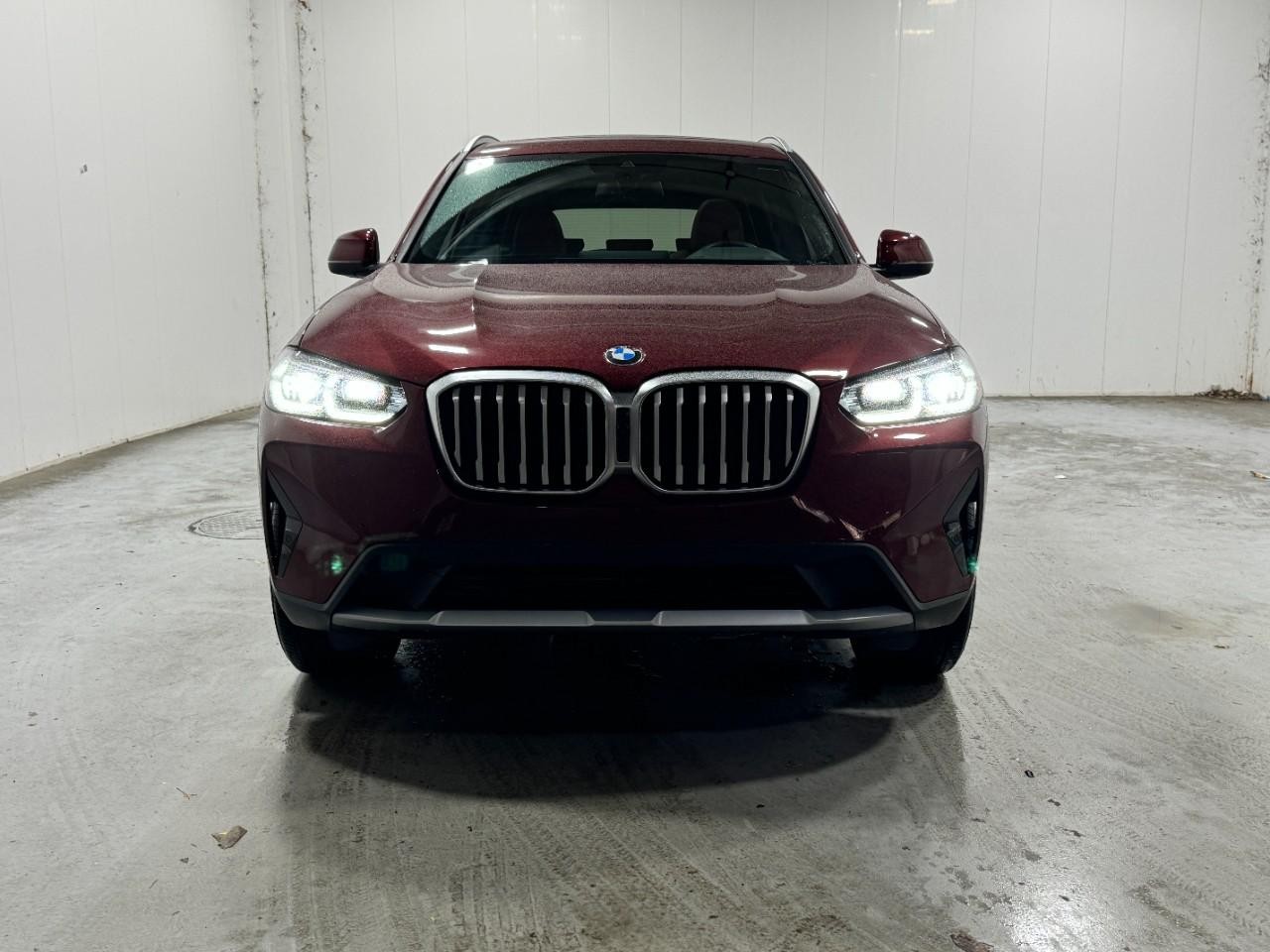 BMW X3 Vehicle Full-screen Gallery Image 7